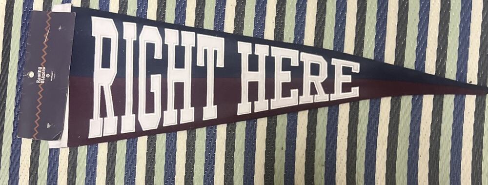 Rowing Blazers x Target RIGHT HERE Pennant Preppy Wall Hanging Navy Blue Maroon